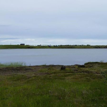 Lakeview Cabin Near Kirkjubæjarklaustur Exteriör bild