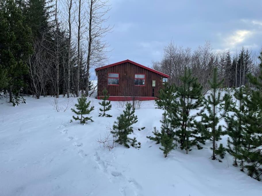 Lakeview Cabin Near Kirkjubæjarklaustur Exteriör bild